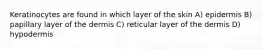 Keratinocytes are found in which layer of the skin A) epidermis B) papillary layer of the dermis C) reticular layer of the dermis D) hypodermis