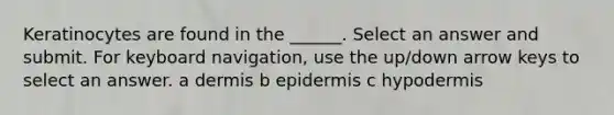 Keratinocytes are found in the ______. Select an answer and submit. For keyboard navigation, use the up/down arrow keys to select an answer. a dermis b epidermis c hypodermis