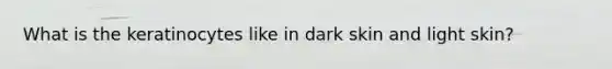 What is the keratinocytes like in dark skin and light skin?