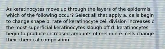 As keratinocytes move up through the layers of the epidermis, which of the following occur? Select all that apply a. cells begin to change shape b. rate of keratinocyte cell division increases c. the most superficial keratinocytes slough off d. keratinocytes begin to produce increased amounts of melanin e. cells change their chemical composition