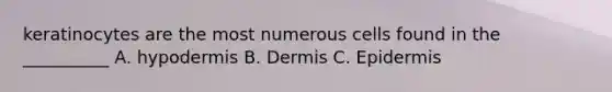 keratinocytes are the most numerous cells found in the __________ A. hypodermis B. Dermis C. Epidermis