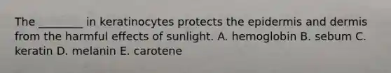 The ________ in keratinocytes protects the epidermis and dermis from the harmful effects of sunlight. A. hemoglobin B. sebum C. keratin D. melanin E. carotene