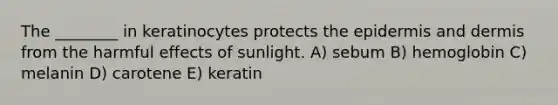 The ________ in keratinocytes protects the epidermis and dermis from the harmful effects of sunlight. A) sebum B) hemoglobin C) melanin D) carotene E) keratin