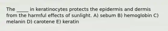 The _____ in keratinocytes protects <a href='https://www.questionai.com/knowledge/kBFgQMpq6s-the-epidermis' class='anchor-knowledge'>the epidermis</a> and dermis from the harmful effects of sunlight. A) sebum B) hemoglobin C) melanin D) carotene E) keratin