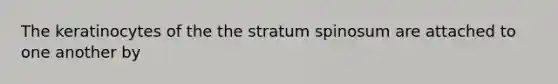 The keratinocytes of the the stratum spinosum are attached to one another by