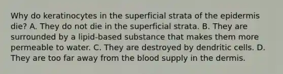 Why do keratinocytes in the superficial strata of the epidermis die? A. They do not die in the superficial strata. B. They are surrounded by a lipid-based substance that makes them more permeable to water. C. They are destroyed by dendritic cells. D. They are too far away from the blood supply in the dermis.