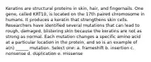 Keratins are structural proteins in skin, hair, and fingernails. One gene, called KRT10, is located on the 17th paired chromosome in humans. It produces a keratin that strengthens skin cells. Researchers have identified several mutations that can lead to rough, damaged, blistering skin because the keratins are not as strong as normal. Each mutation changes a specific amino acid at a particular location in the protein, and so is an example of a(n) ______ mutation. Select one: a. frameshift b. insertion c. nonsense d. duplication e. missense