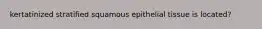 kertatinized stratified squamous epithelial tissue is located?