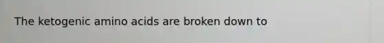The ketogenic amino acids are broken down to