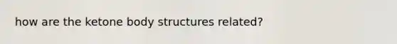 how are the ketone body structures related?