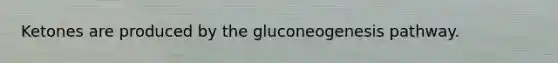 Ketones are produced by the gluconeogenesis pathway.