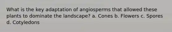 What is the key adaptation of angiosperms that allowed these plants to dominate the landscape? a. Cones b. Flowers c. Spores d. Cotyledons