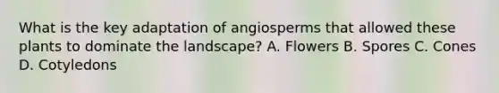 What is the key adaptation of angiosperms that allowed these plants to dominate the landscape? A. Flowers B. Spores C. Cones D. Cotyledons