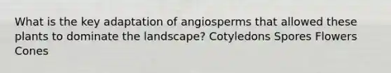 What is the key adaptation of angiosperms that allowed these plants to dominate the landscape? Cotyledons Spores Flowers Cones