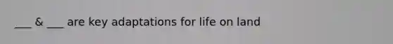 ___ & ___ are key adaptations for life on land