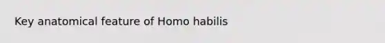 Key anatomical feature of Homo habilis