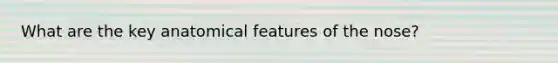 What are the key anatomical features of the nose?