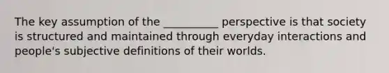 The key assumption of the __________ perspective is that society is structured and maintained through everyday interactions and people's subjective definitions of their worlds.