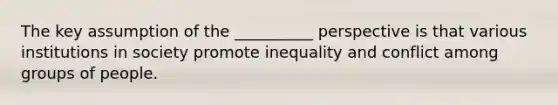 The key assumption of the __________ perspective is that various institutions in society promote inequality and conflict among groups of people.