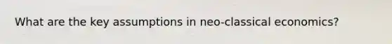 What are the key assumptions in neo-classical economics?
