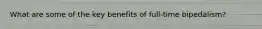 What are some of the key benefits of full-time bipedalism?