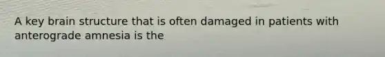 A key brain structure that is often damaged in patients with anterograde amnesia is the