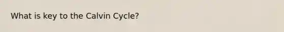 What is key to the Calvin Cycle?