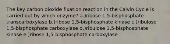 The key carbon dioxide fixation reaction in the Calvin Cycle is carried out by which enzyme? a.)ribose 1,5-bisphosphate transcarboxylase b.)ribose 1,5-bisphosphate kinase c.)ribulose 1,5-bisphosphate carboxylase d.)ribulose 1,5-bisphosphate kinase e.)ribose 1,5-bisphosphate carboxylase