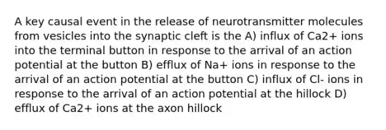 A key causal event in the release of neurotransmitter molecules from vesicles into the synaptic cleft is the A) influx of Ca2+ ions into the terminal button in response to the arrival of an action potential at the button B) efflux of Na+ ions in response to the arrival of an action potential at the button C) influx of Cl- ions in response to the arrival of an action potential at the hillock D) efflux of Ca2+ ions at the axon hillock