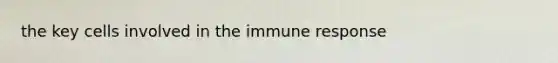 the key cells involved in the immune response