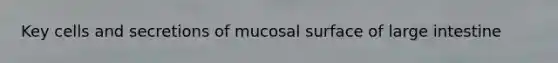 Key cells and secretions of mucosal surface of large intestine