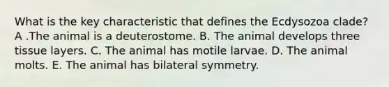 What is the key characteristic that defines the Ecdysozoa clade? A .The animal is a deuterostome. B. The animal develops three tissue layers. C. The animal has motile larvae. D. The animal molts. E. The animal has bilateral symmetry.