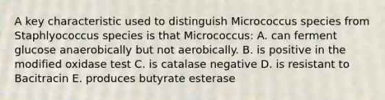 A key characteristic used to distinguish Micrococcus species from Staphlyococcus species is that Micrococcus: A. can ferment glucose anaerobically but not aerobically. B. is positive in the modified oxidase test C. is catalase negative D. is resistant to Bacitracin E. produces butyrate esterase