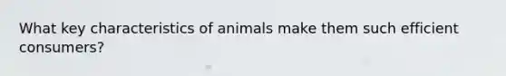 What key characteristics of animals make them such efficient consumers?