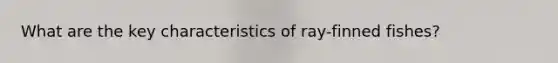 What are the key characteristics of ray-finned fishes?