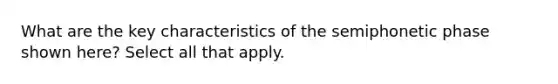 What are the key characteristics of the semiphonetic phase shown here? Select all that apply.