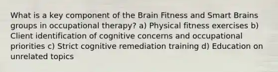 What is a key component of the Brain Fitness and Smart Brains groups in occupational therapy? a) Physical fitness exercises b) Client identification of cognitive concerns and occupational priorities c) Strict cognitive remediation training d) Education on unrelated topics