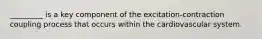 _________ is a key component of the excitation-contraction coupling process that occurs within the cardiovascular system.
