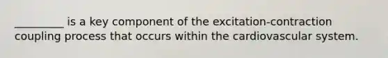 _________ is a key component of the excitation-contraction coupling process that occurs within the cardiovascular system.