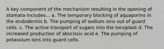 A key component of the mechanism resulting in the opening of stomata includes... a. The temporary blocking of aquaporins in the endodermis b. The pumping of sodium ions out of guard cells. c. The active transport of sugars into the tonoplast d. The increased production of abscissic acid e. The pumping of potassium ions into guard cells.