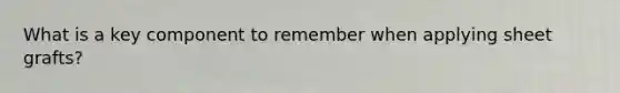 What is a key component to remember when applying sheet grafts?
