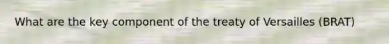 What are the key component of the treaty of Versailles (BRAT)