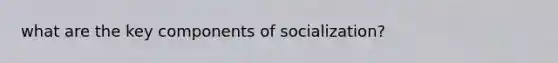 what are the key components of socialization?