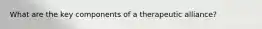 What are the key components of a therapeutic alliance?