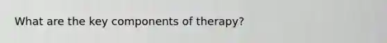 What are the key components of therapy?