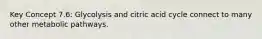 Key Concept 7.6: Glycolysis and citric acid cycle connect to many other metabolic pathways.