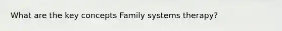 What are the key concepts Family systems therapy?