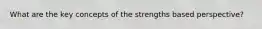 What are the key concepts of the strengths based perspective?