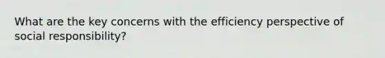 What are the key concerns with the efficiency perspective of social responsibility?