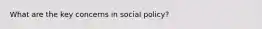 What are the key concerns in social policy?